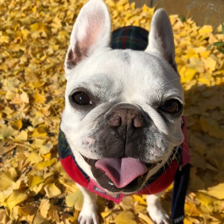 1b7a89a2 ac09 47b5 bc5c 98ac5c111874 1607940661050