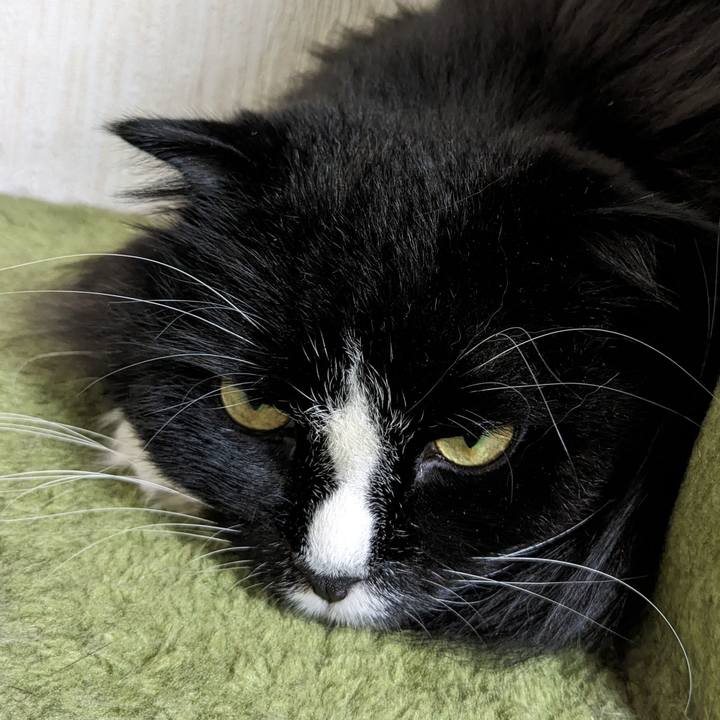 1b7a919d 1c77 4bc9 9a94 dc2556cd693a 1688437728211