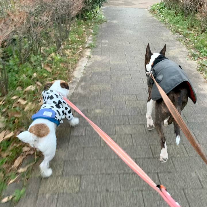 1b7adee5 aa56 41b7 8e4f 33c05bab7652 1609671319939