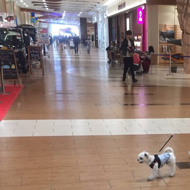 1b7aea8d ae1d 4e93 9c9f 28f58a337a3e 1509784618282