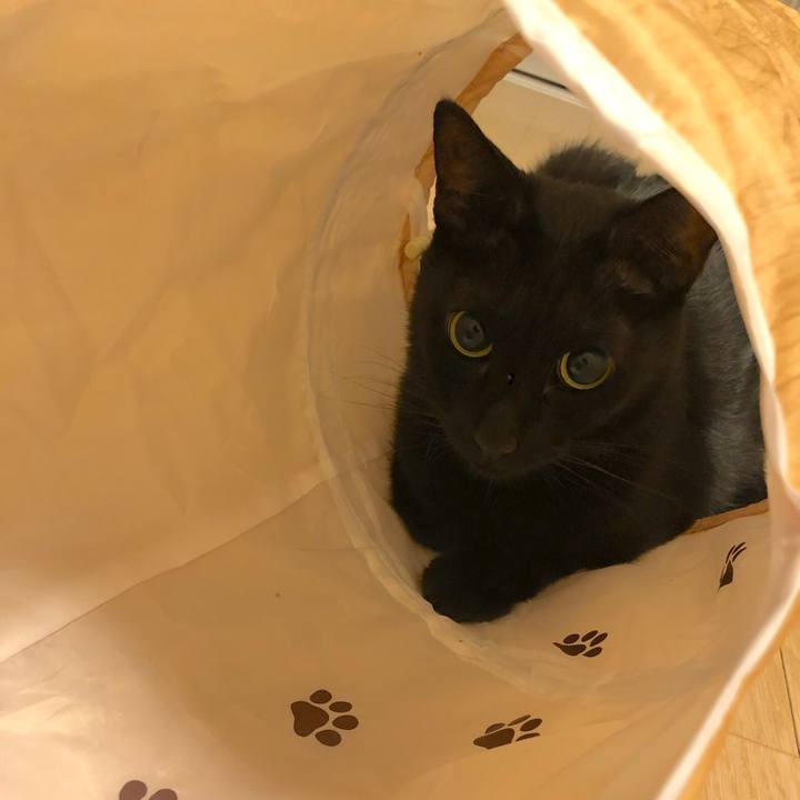 1b7aed19 6ddd 4135 8cea a563dd493e65 1566391671401