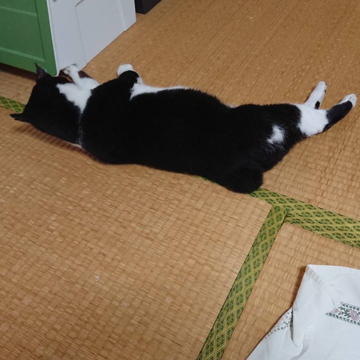 1b7afbf6 5c63 4dae 875b d99d16dcccdc 1529637096574