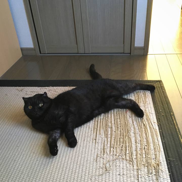 1b7b111a 1fc4 41e5 9199 7132cab275ae 1513480938175