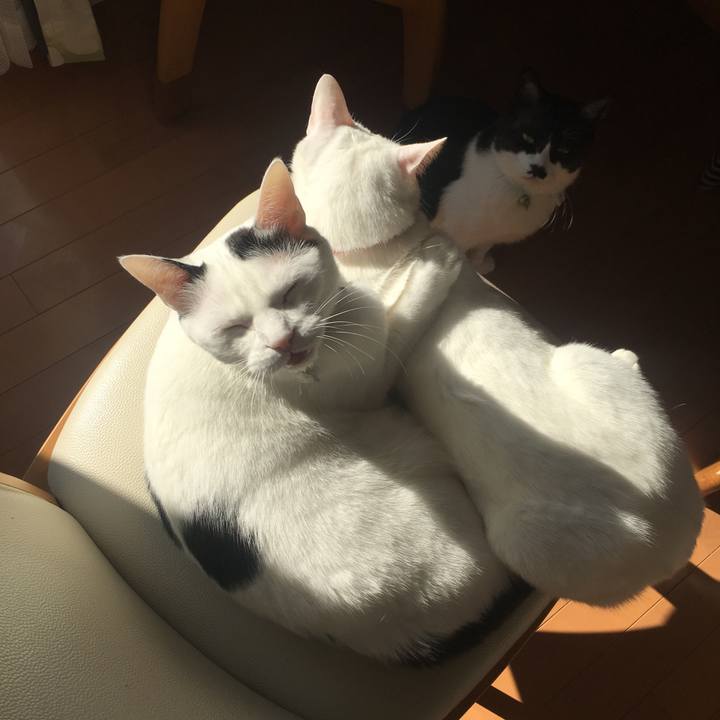 1b7b1eaf 5de1 4638 a8da a67b361a1002 1518048832918