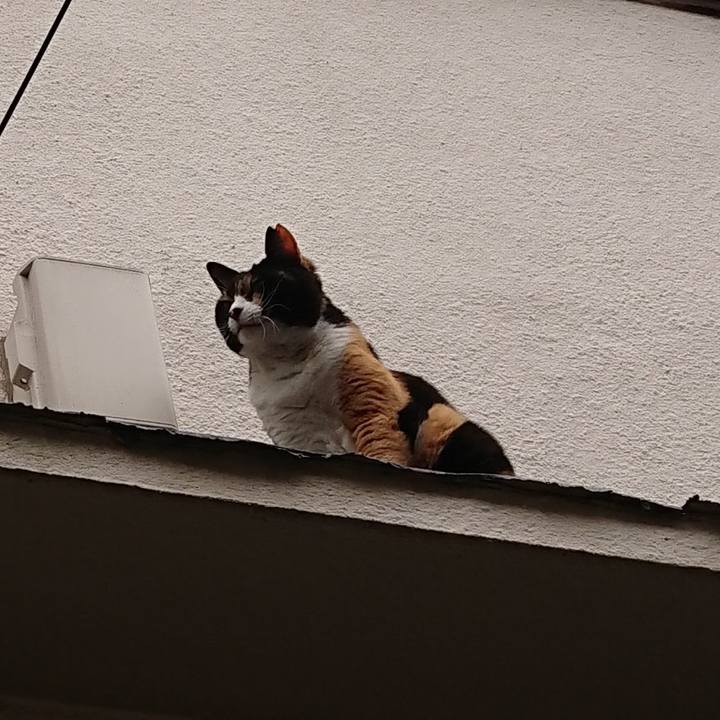 1b7b2b1c 8f05 4107 98a0 99168d70566b 1652618287351