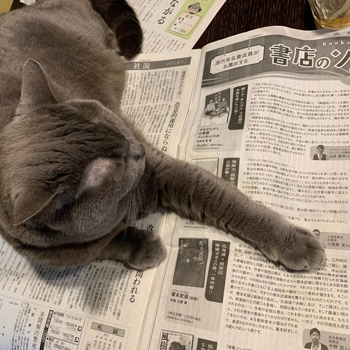 1b7b47e2 a9ee 4324 afb5 70dc3bc6e47b 1743848381675