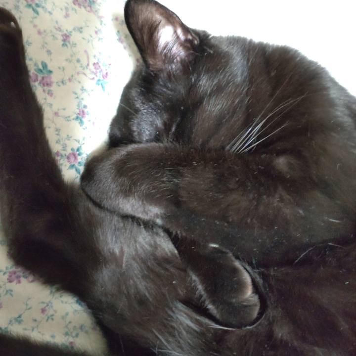 1b7b7840 000c 44a4 b416 caca42e1d181 1651234211990