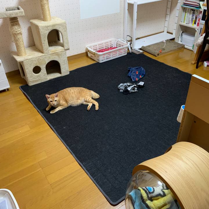 1b7ba223 791e 46cd a3a7 121f834750a6 1663758920145