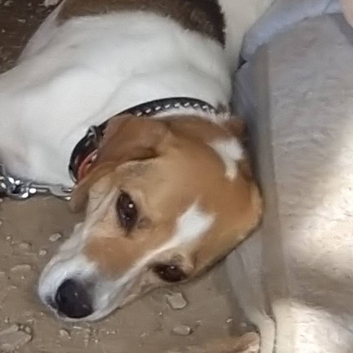 1b7be021 7879 4334 bb7b 0939857ad40d 1627737999977