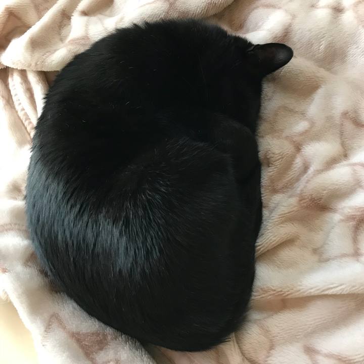 1b7bef80 be7a 4184 a89f 37f57499f5f3 1511659666586