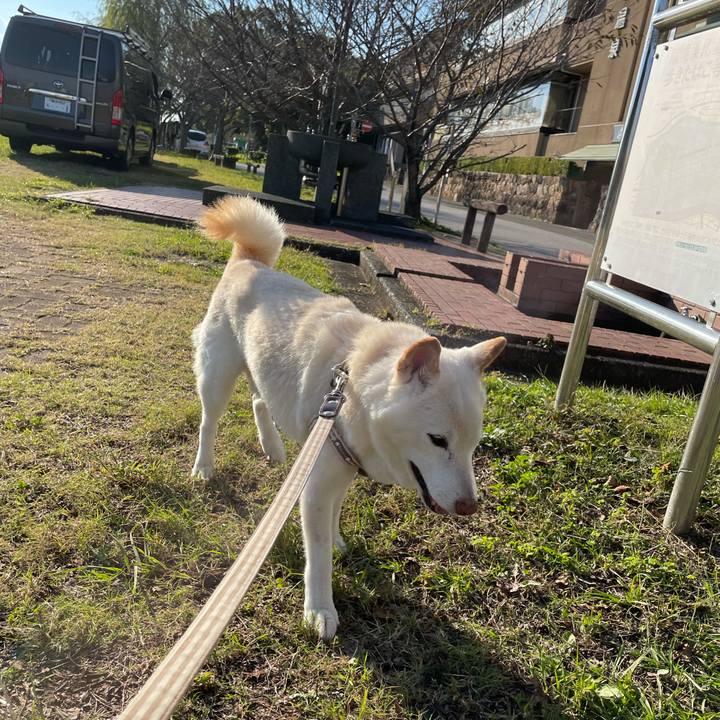 1b7c0ad2 8426 4e4b 90ab 824025f69ccd 1635322027307