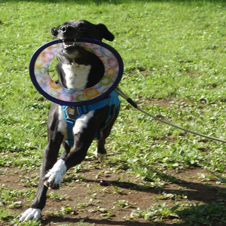 1b7c0f14 ab0a 48fe 9d30 124dc7b84835 1618804056482