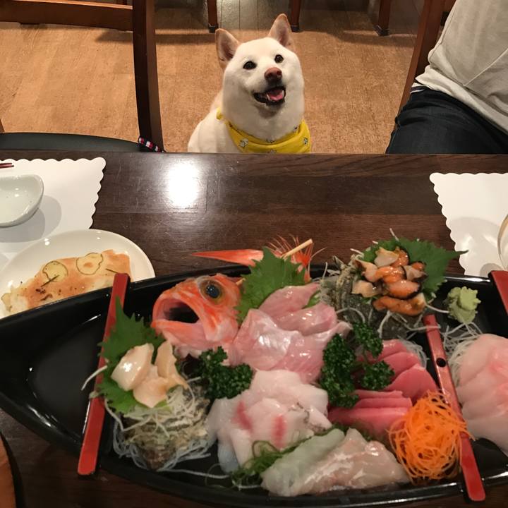 1b7c4721 aa80 4e8e add0 79e27b49e7d5 1521712386307