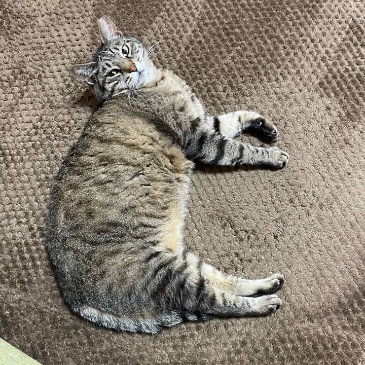 1b7c505e c224 4e31 8cad 0b597ed940d5 1625372096386