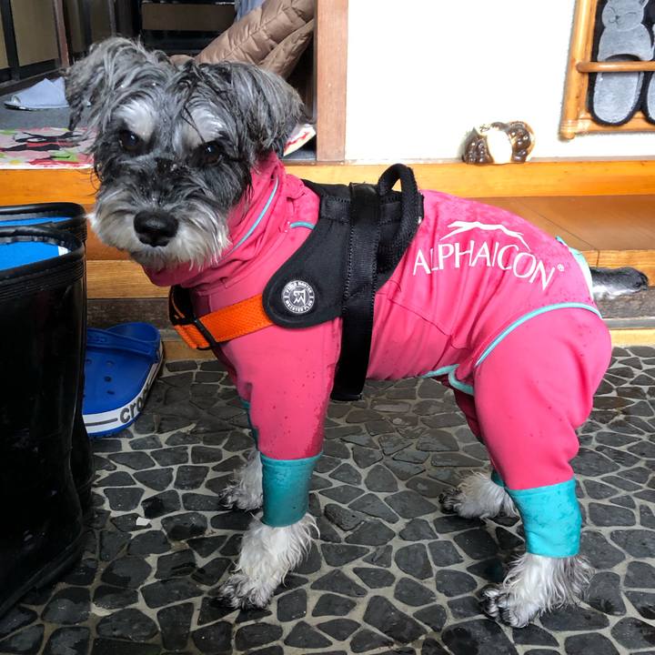 1b7c8448 5c20 43b5 983b a561da9dad2b 1703323638827