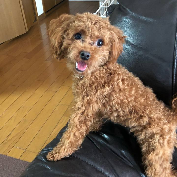 1b7ccba1 c717 41d5 9562 398959b4eb06 1510870462860