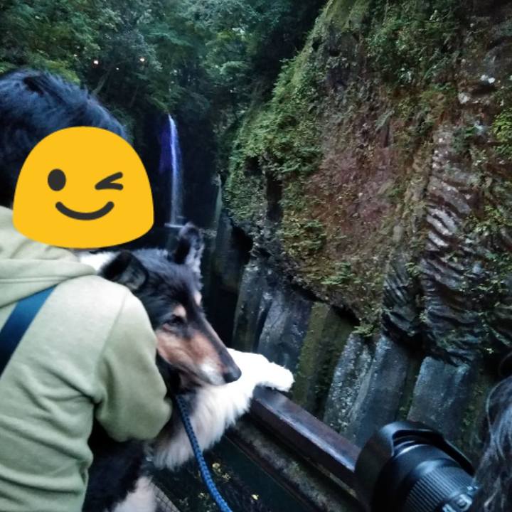 1b7ce9e3 51cc 437f 8e7d 4f0e17ca123f 1557150941098