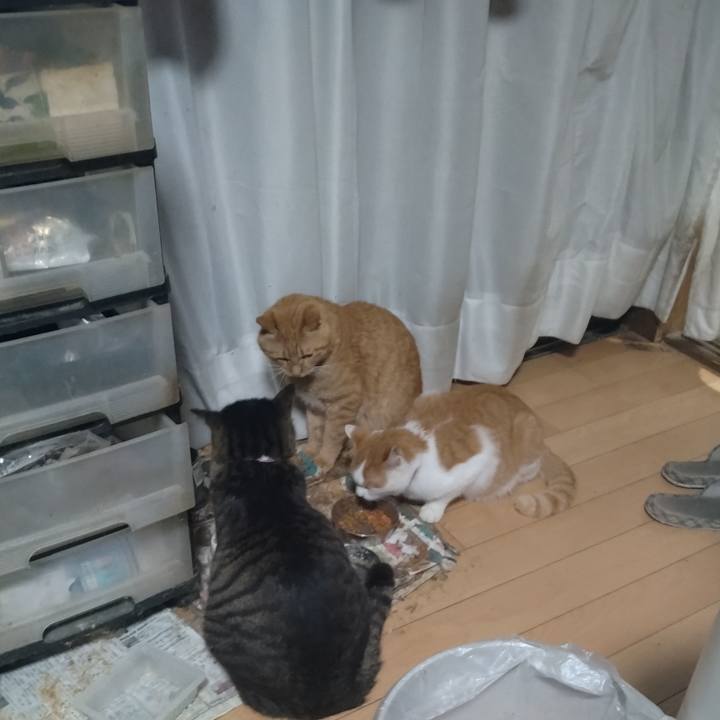 1b7cf082 5473 46ce b18e 71333ed1a430 1762490093928