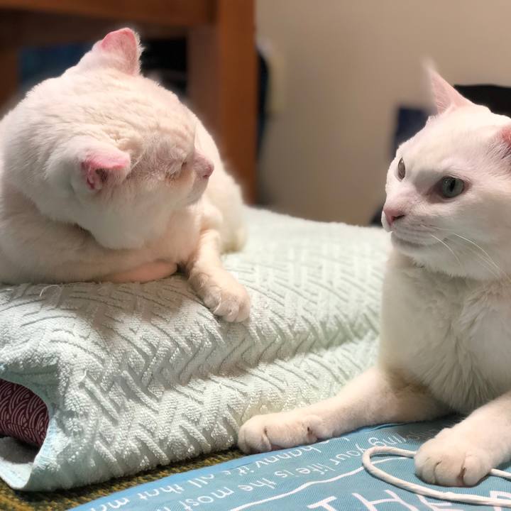 1b7d099c eeb4 4a05 899e d9e0c60a0c32 1557633359539