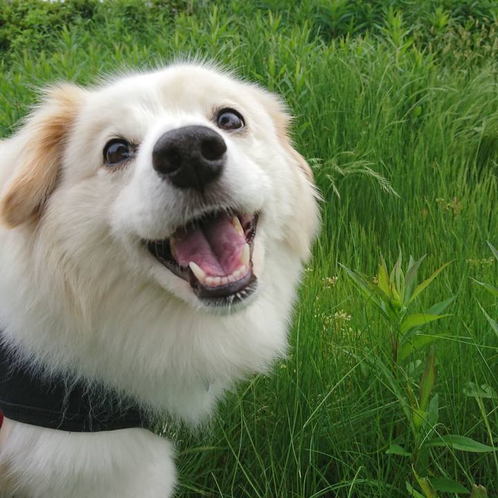 1b7d1649 ea16 4db3 bb76 5074b661f1ac 1527456775786