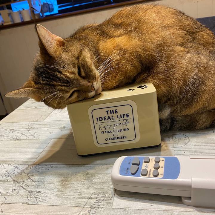 1b7d1cd8 5d45 417f 9ef2 339c7f340d68 1600980964913