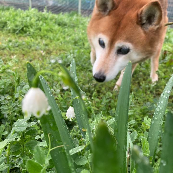 1b7d4096 af5e 4e30 bf97 cf2bb88eae9d 1679566419390