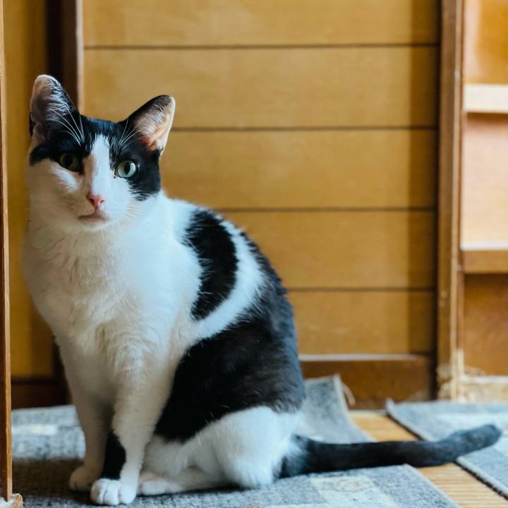 1b7d45b6 40de 4ebb 99c9 9ef3e777f111 1661392917248