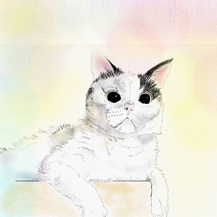 1b7d64b9 9db9 4a03 9130 d7d813f91882 1593258385718