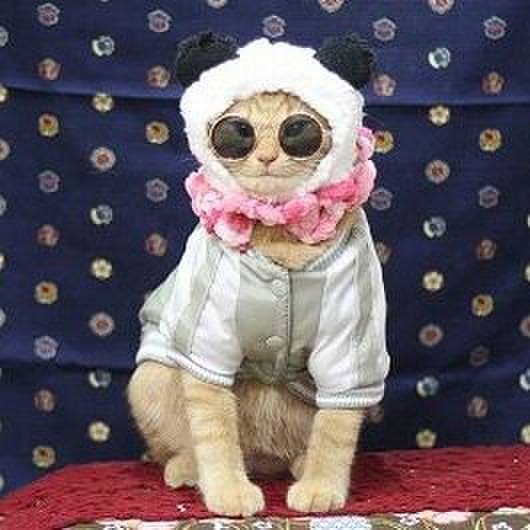 1b7d6a9d c3b8 434b 9a2c cdca40fc8249 1546246385309