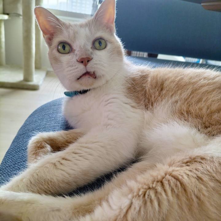 1b7d8b7c bf33 47c3 9532 20f86d953520 1689028476323