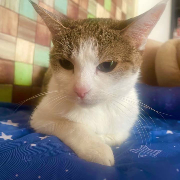 1b7d97f2 4610 44aa 86b6 0411bf5b400e 1637456647684