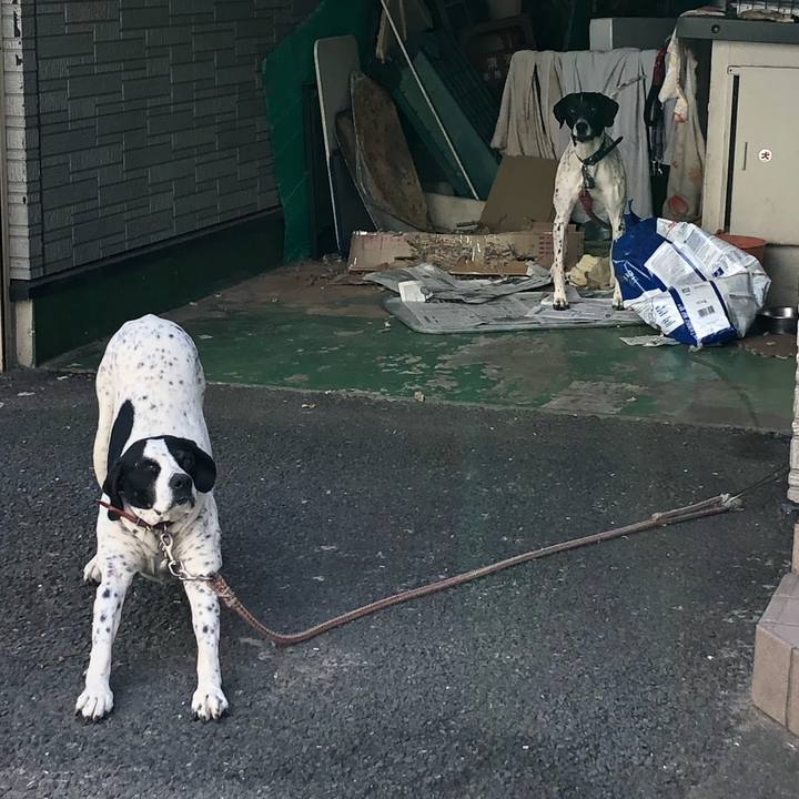 1b7db8a5 d420 4d3f 80ca 06f224b4203e 1585414146231