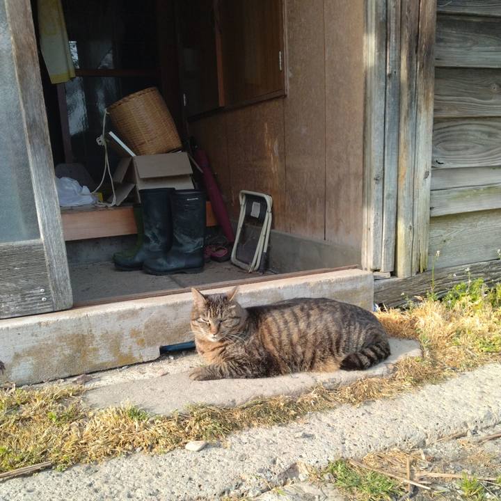 1b7dc484 4fc8 43d7 bc29 eb247d329717 1712307656286