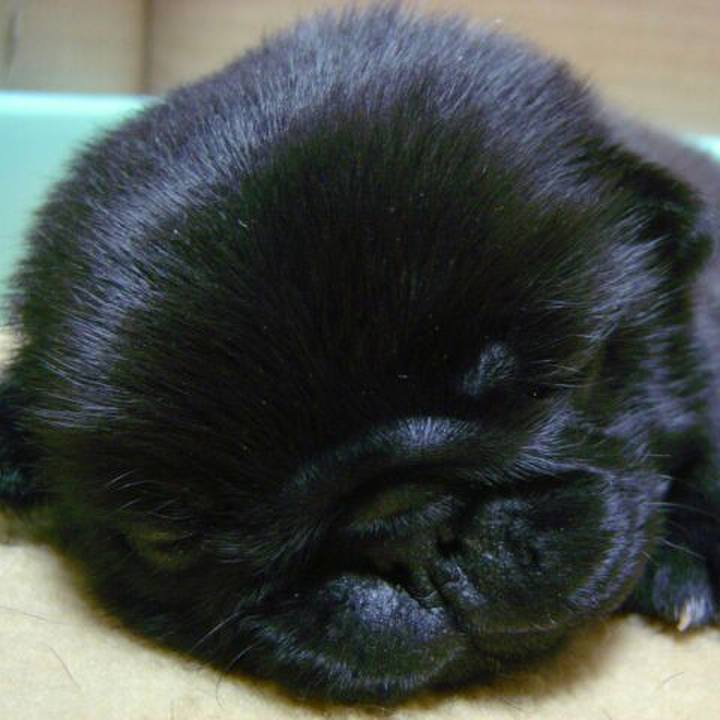 1b7dd1c8 4120 45c3 b953 e4620bc0c7e5 1543214011494