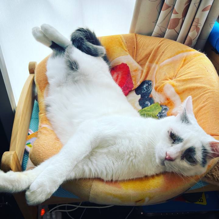 1b7ddccb 46f8 4a7f a453 22e5937d1cb6 1665597301264