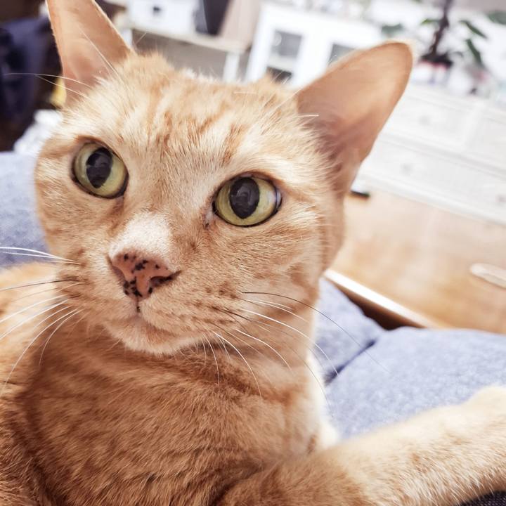 1b7de222 d1f6 420d a1aa 910b118a7bbd 1745021790786