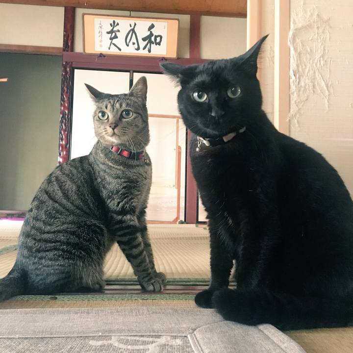 1b7e082c c5e9 4e14 9552 8cf10c21476e 1533111141785