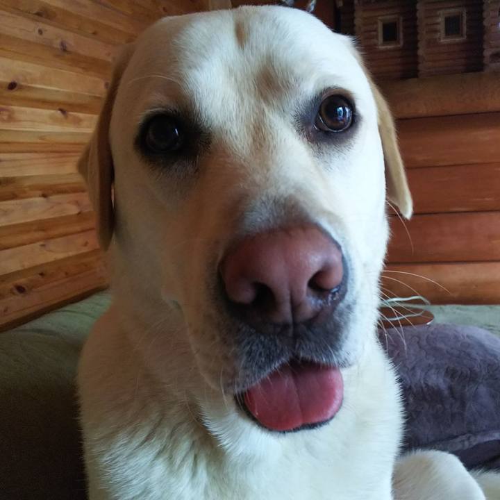 1b7e202a 90e8 4d13 87a6 2bc18f94dbd7 1527144004285