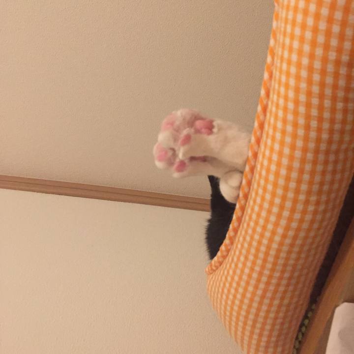 1b7e5a1e 472d 4b1e 8f7f a6bc01a4b07c 1544710608104