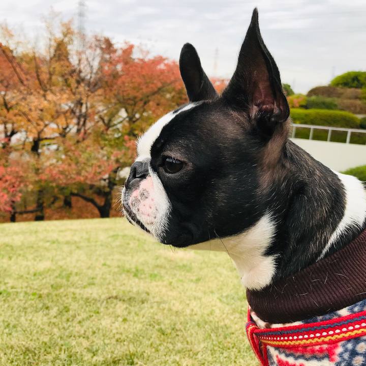 1b7e960c eb1e 49b6 b6de 062640db23d8 1543061507460