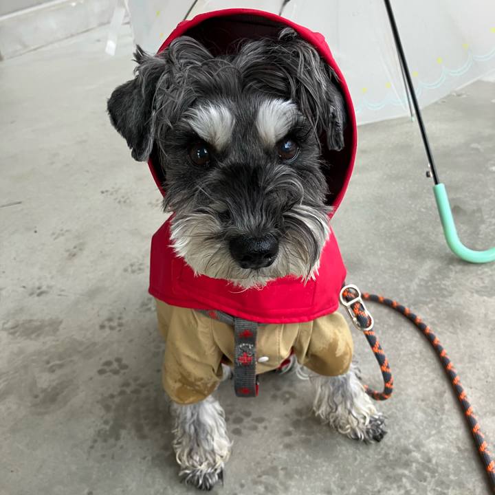 1b7f1666 3687 432e b152 188a3d4396ea 1735458255844