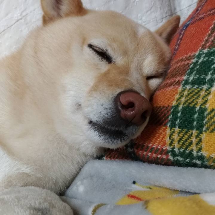 1b7f1db4 b4e0 4ddb ba3f 1c6e18e7720c 1613216017955