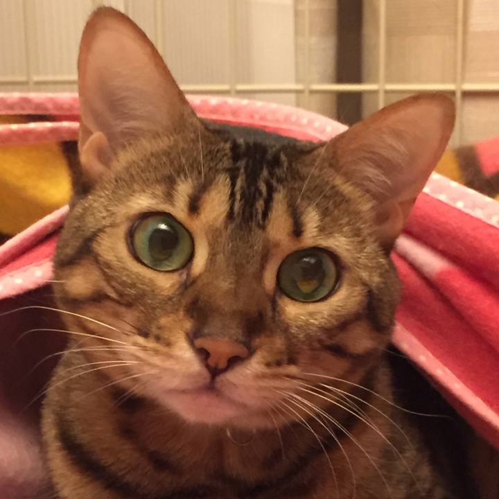 1b7f57b0 3290 4858 ab33 bedbb9b2fa55 1538179530792