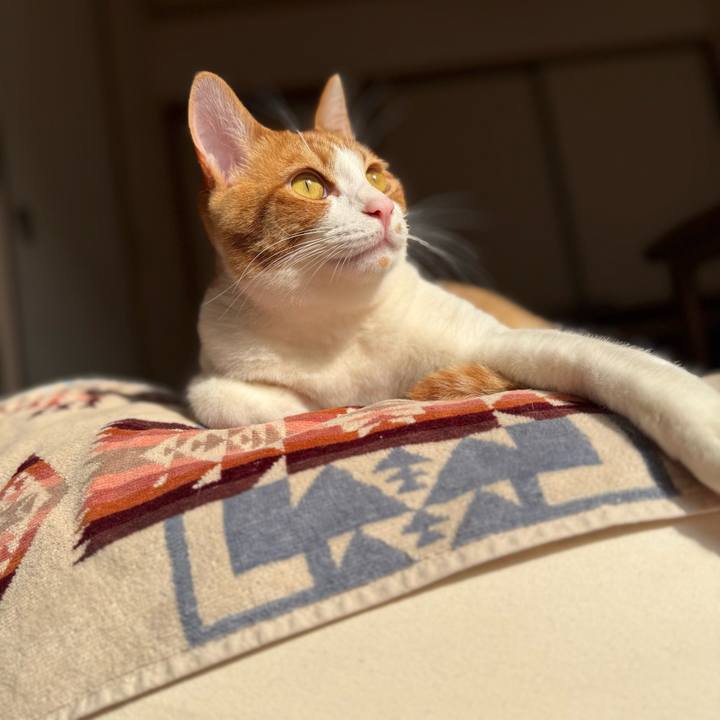 1b7f5bb9 7cd6 4578 965e 95338abe71de 1771983711054