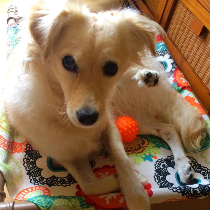 1b7f72f4 ac3e 4d28 9221 8bff321a366e 1517744679295