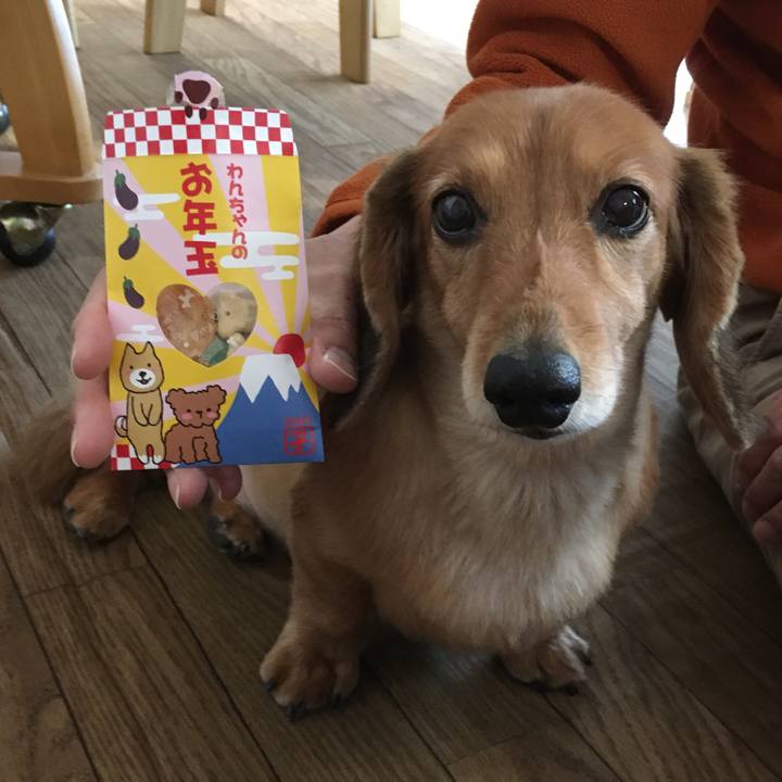 1b7fa2dd 5653 4b51 a493 938ce27d5555 1577970165743