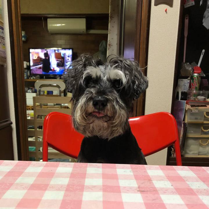 1b7fc4c0 2688 46e5 8851 d5648b1c3427 1621945200085