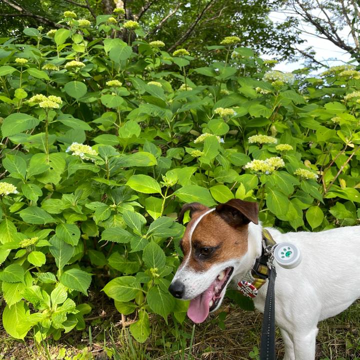 1b7fdc39 cb47 4f16 a88d 2d6ca7a41d34 1656406375608