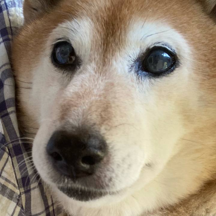 1b7ff884 052a 4364 b3d6 a8de840188b7 1718279755560