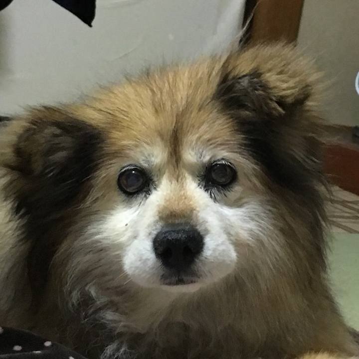 1b804f4c d7cc 4970 b291 0752735eda50 1582242768721